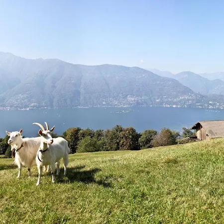 Residenza Al Castagno Duplex By Fewotessin Daire