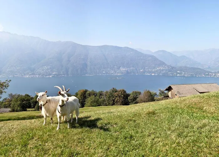 Residenza Al Castagno Duplex By Fewotessin Apartament